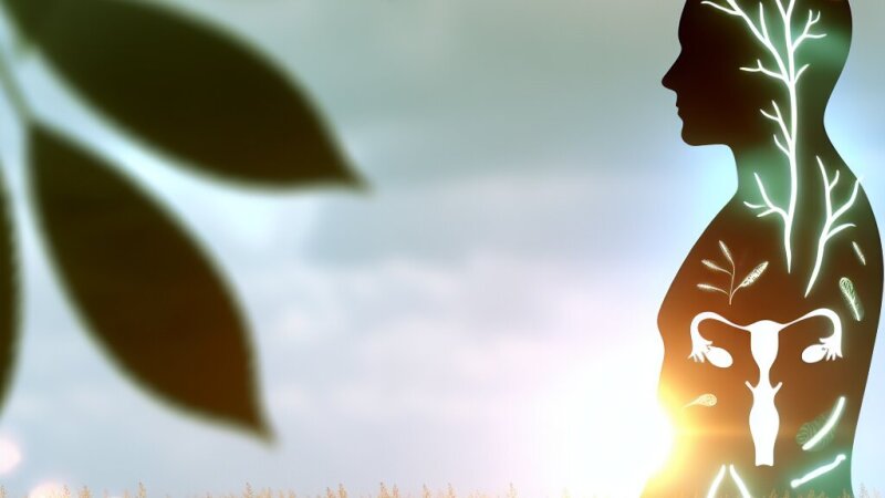 Hormoni: ključni regulatorji delovanja človeškega telesa