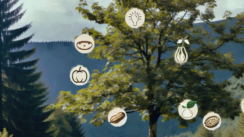 Oreh v Sloveniji: botanični opis, prehrana in kulturni pomen